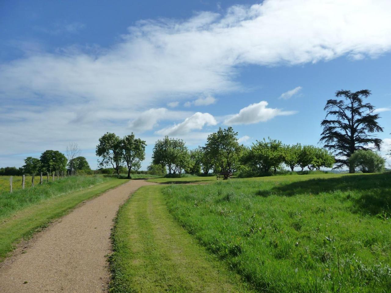 Domaine De Savigny Panzió Saint-Saulge Kültér fotó